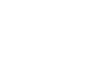 Evolution games at Lota Play Casino